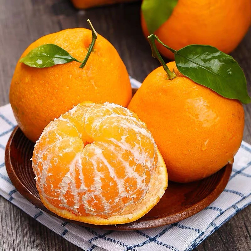 【s青年班长】四川春见耙耙柑4.5-5斤装产地直发应季水果多汁酸甜