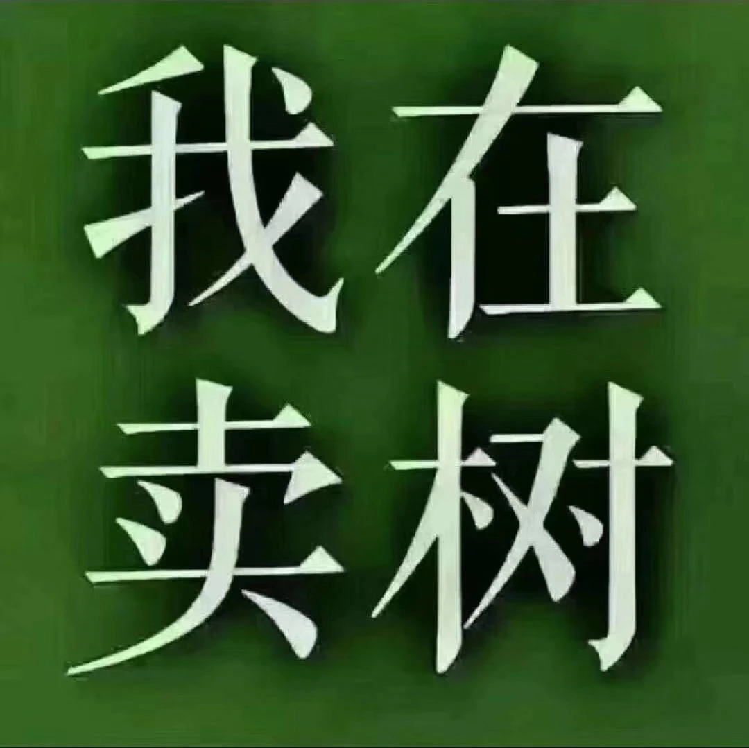 补运费补差价鲜花花卉绿植盆栽适合地栽庭院