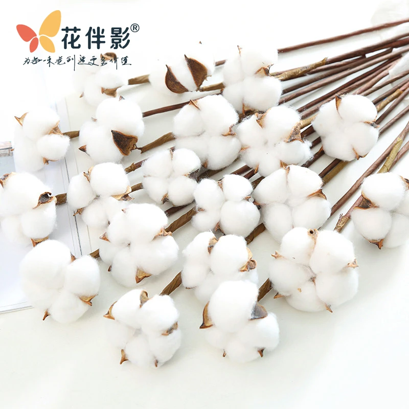 花伴影 棉花干枝手工花束鲜花辅料
