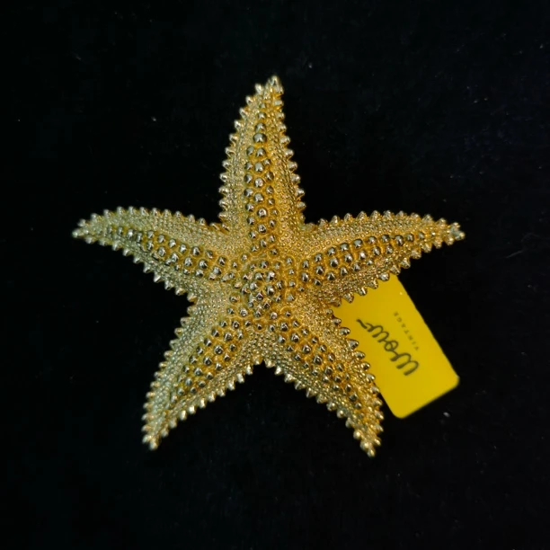 合金胸针 PP中古首饰 Vintage 莫奈Monet素金海星胸针时尚复古