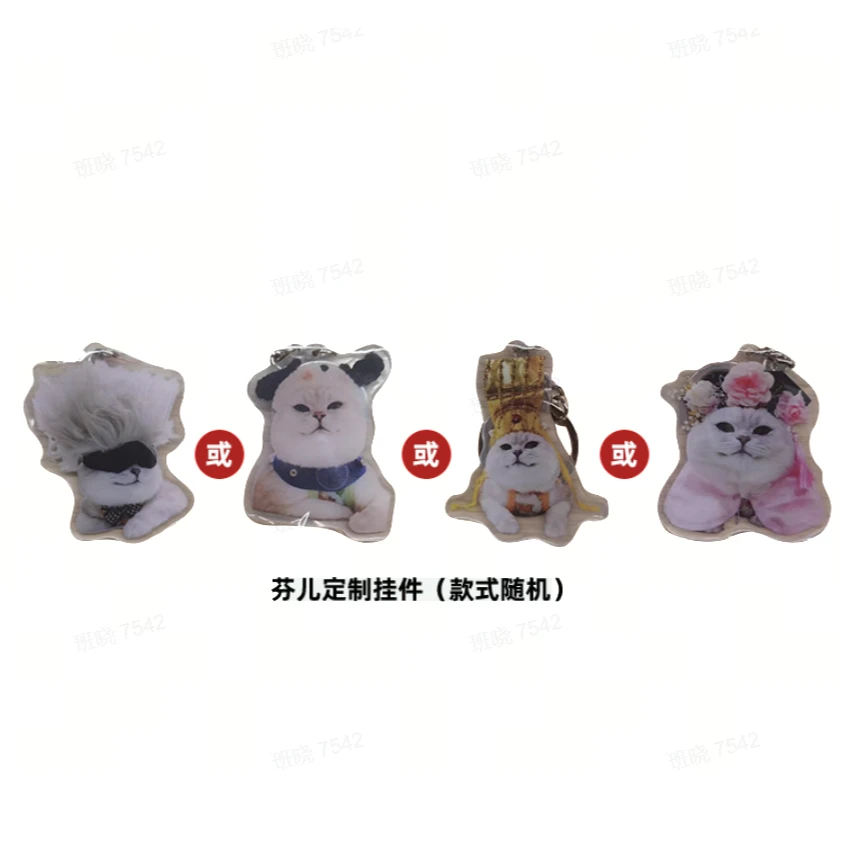 芬儿定制亚克力挂件 *1（款式随机）