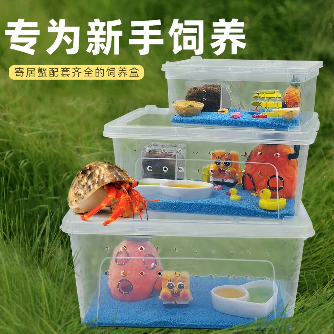 寄居蟹新手套餐饲养箱盒～饲养用品 桌面宠物儿童礼物相守蟹套装