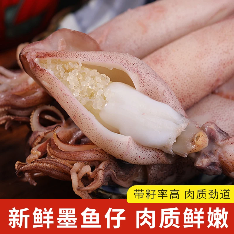 海兔子满籽墨鱼仔新鲜海兔鲜活带籽笔管鱼大乌贼籽乌鱿鱼海鲜水产