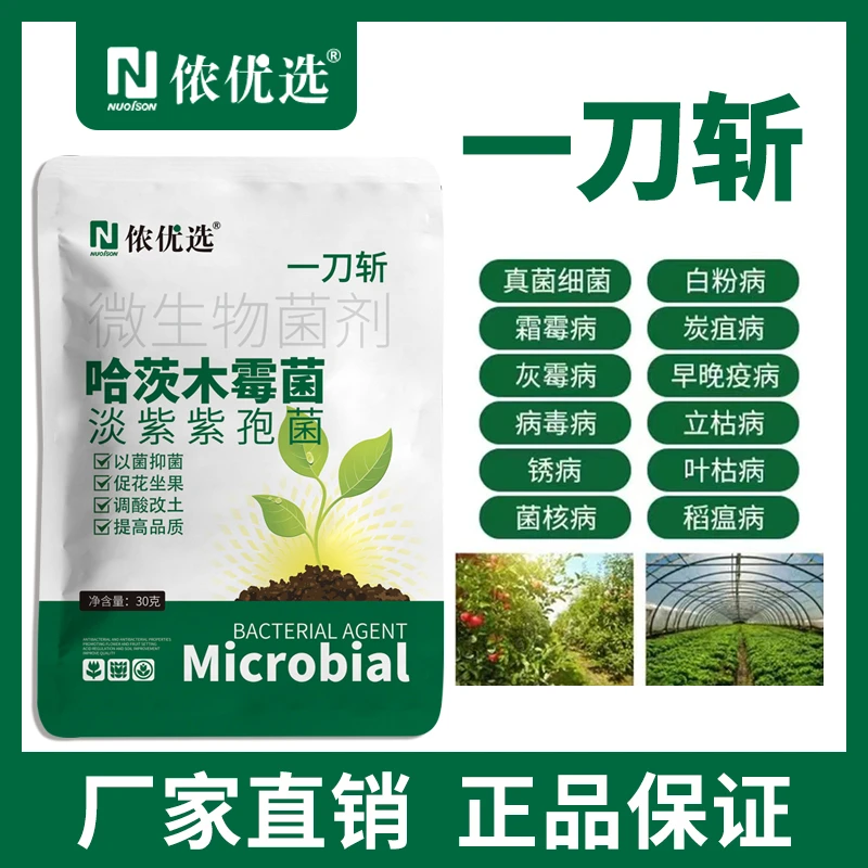 哈茨木霉菌有效预防病害微生物菌剂种植重茬土壤活化剂锈病霜霉病