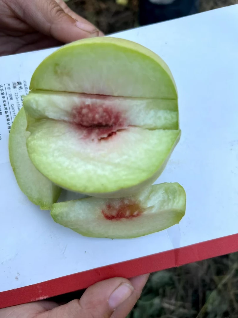 青桃脆蜜桃孕妇孩子应季水果