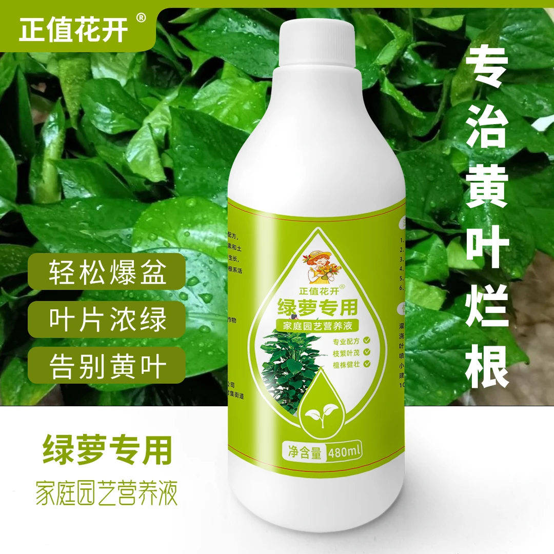 绿萝营养液专用肥料家用植物盆栽防黄叶落叶增肥增绿液体肥通用型