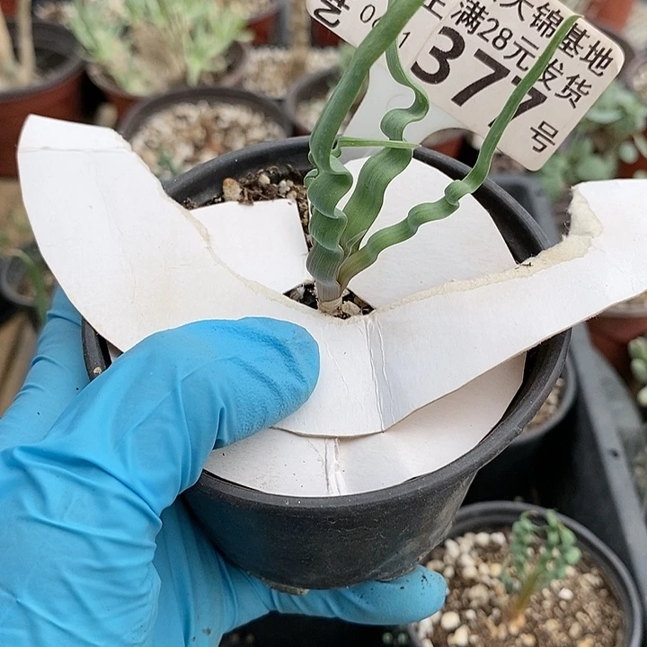 韵*377一一一一一一一一一