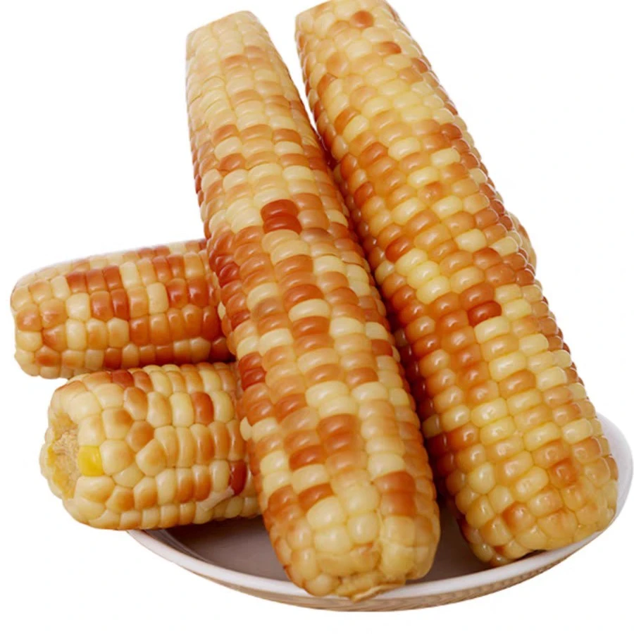 西双版纳香糯小玉米