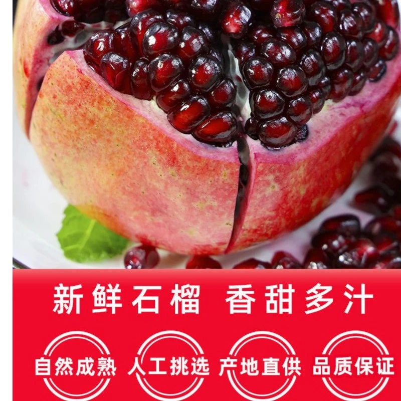 七姐家四川会理石榴 新鲜水果突尼斯软籽石榴  {树上鲜果} 爆汁甜