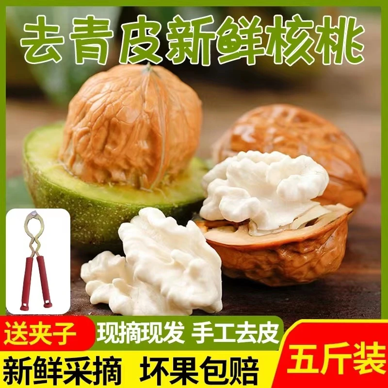 2025年新鲜湿核桃 去青皮绿皮薄皮核桃嫩核桃生核桃