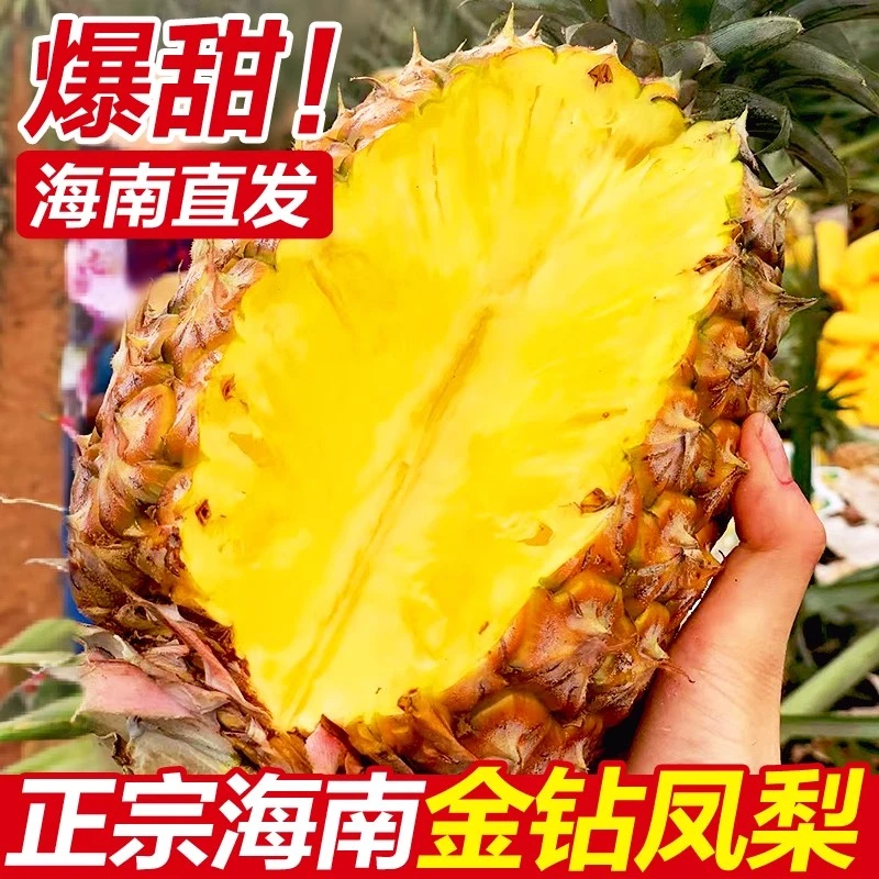 海南金钻凤梨新鲜水果4.5-5斤香甜多汁不用挖眼泡盐水树上熟
