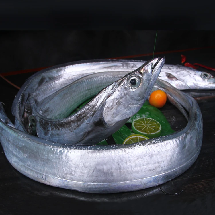 【天然新鲜带鱼】上街弟推荐 开海尝鲜装肉质鲜嫩