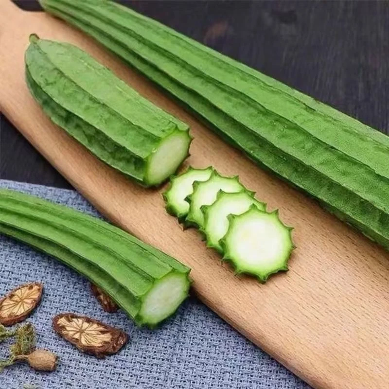 长棱丝瓜口感细嫩好吃耐老化