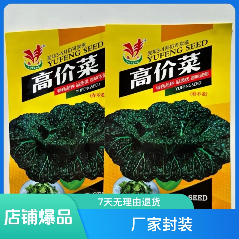 高价菜种子春不老秋冬种植耐寒越冬栽培耐抽苔抗病高产蔬菜种子