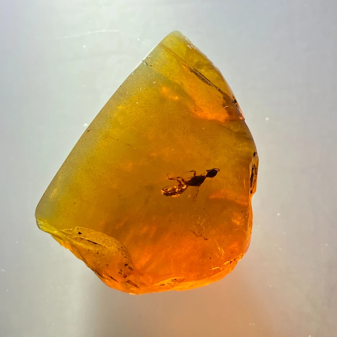 天然缅甸琥珀虫珀蜂