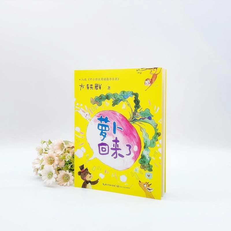 萝卜回来了 方轶群 9787570219094
