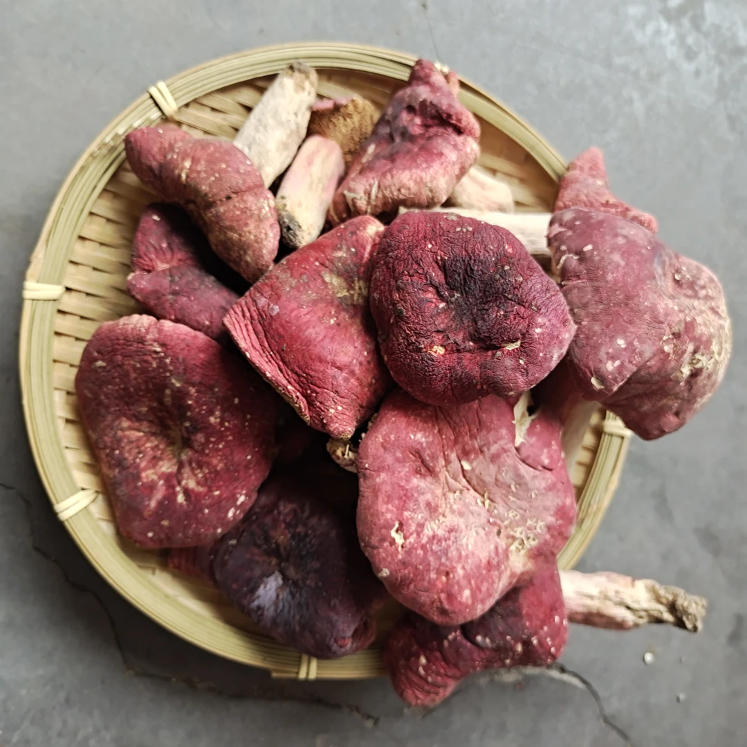 大胖菇肉厚红菇大红菇250g500g装