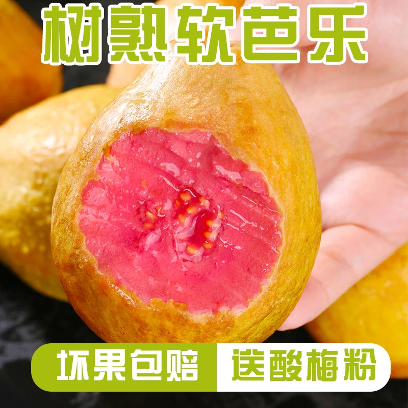 红心芭乐1-5斤树上香甜包赔产品采摘口感多汁好吃产地清香种植
