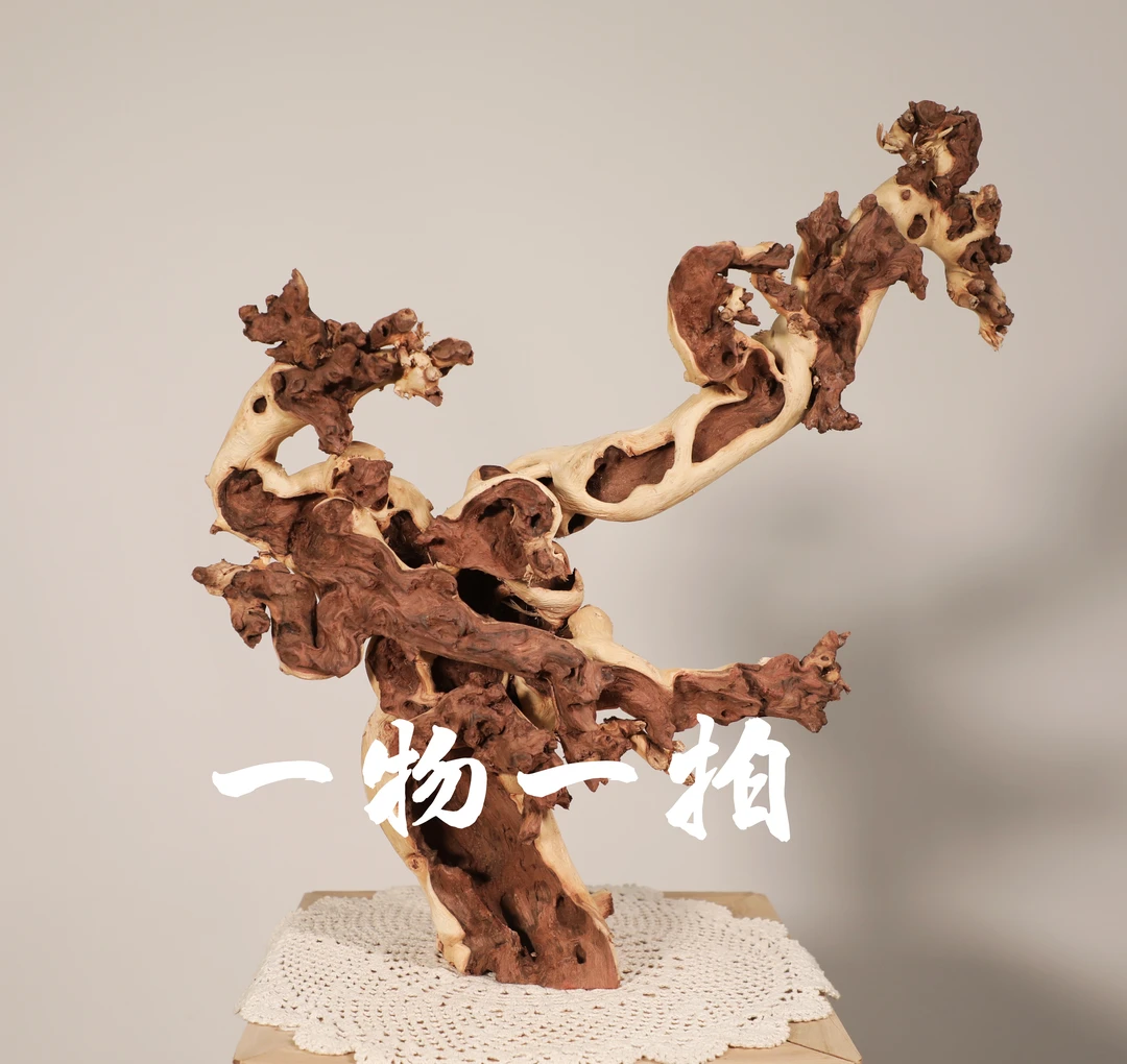 金丝红木老桩国风摆件 自然随型禅意摆件 别墅 公司 书房 博古架