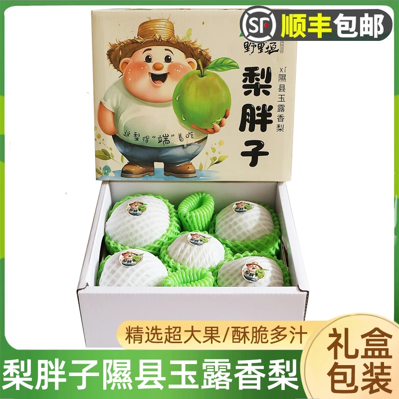 梨胖子隰县玉露香梨5斤超大果礼盒装 当季临汾特产脆梨子顺丰