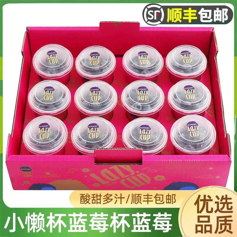 小懒杯蓝莓鲜果12杯礼盒装 lazycup云南蓝莓新鲜孕妇水果顺丰