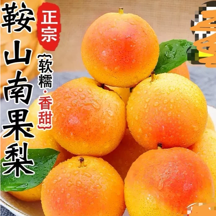 正宗鞍山南果梨新鲜水果东北特产东北儿时记忆中的味道食用大果