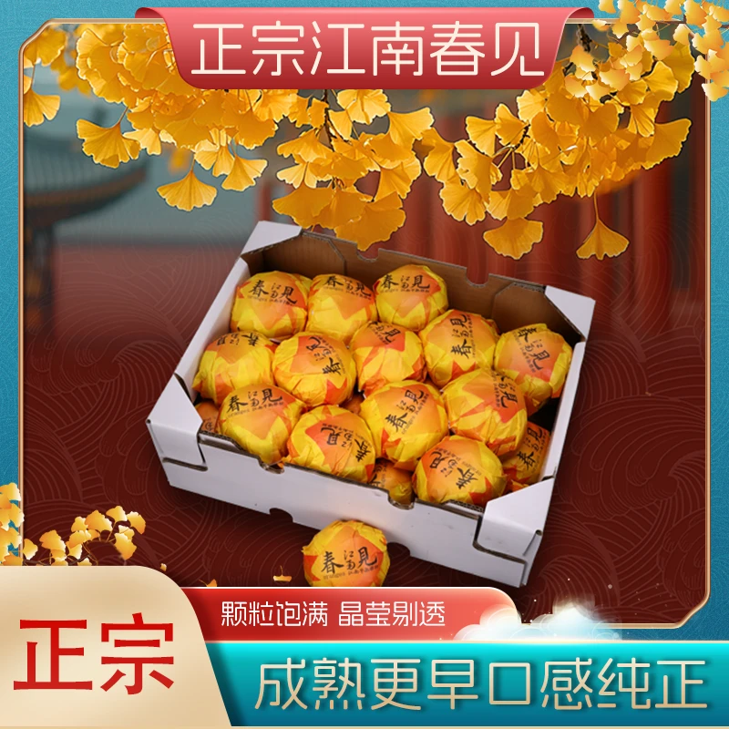【8斤礼盒装】集鲜号江南春见蜜橘现摘现发新鲜水果颗粒饱满现货