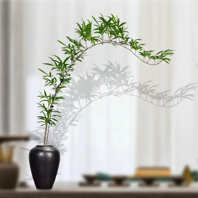 弯飘意境红寒竹竹子界的西施室内客厅茶桌茶台书房造景竹盆栽