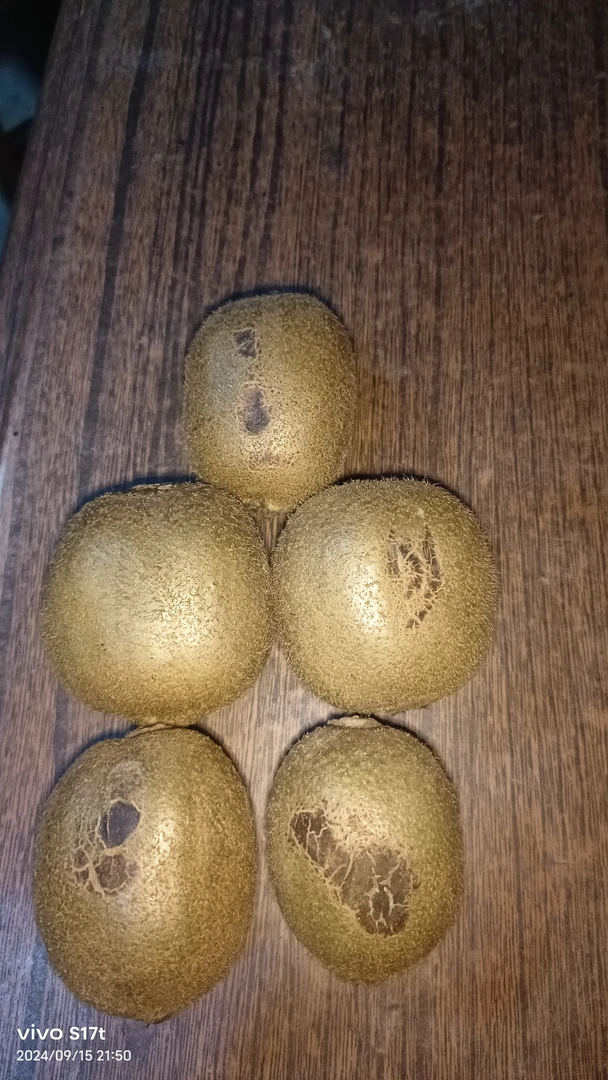 陕西眉县正宗猕猴桃粉丝福利