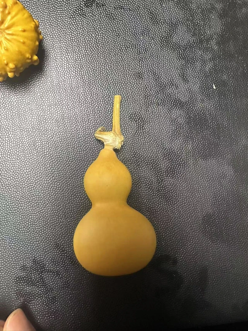 亮哥葫芦直播福利专用(乱拍随机发货）