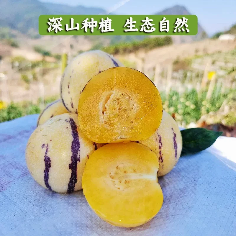 【现摘】云南普洱高山人参果树上熟大果1/3/5斤黄肉园果水果人生果