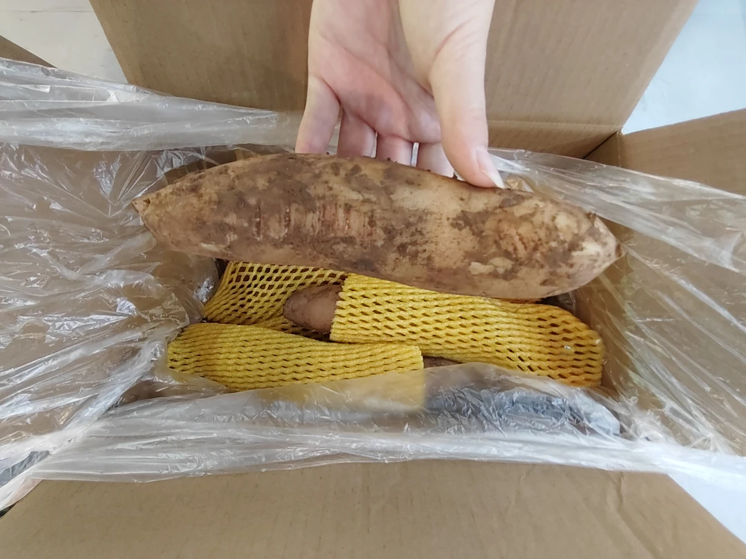 雪莲果今年第一批5斤左右新果