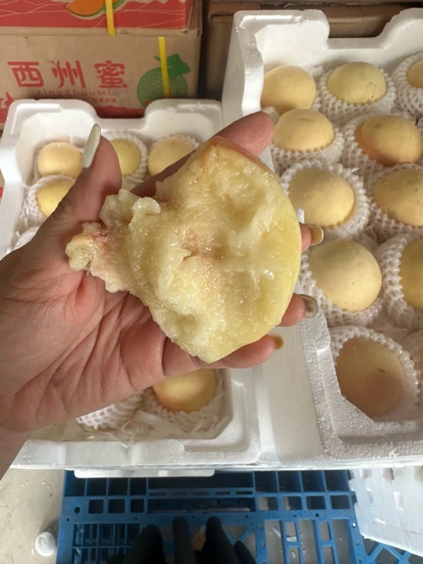 白凤水蜜桃9斤左右大果