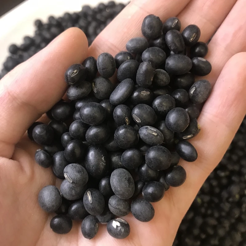 四宝精选 农家黑皮青豆 500g
