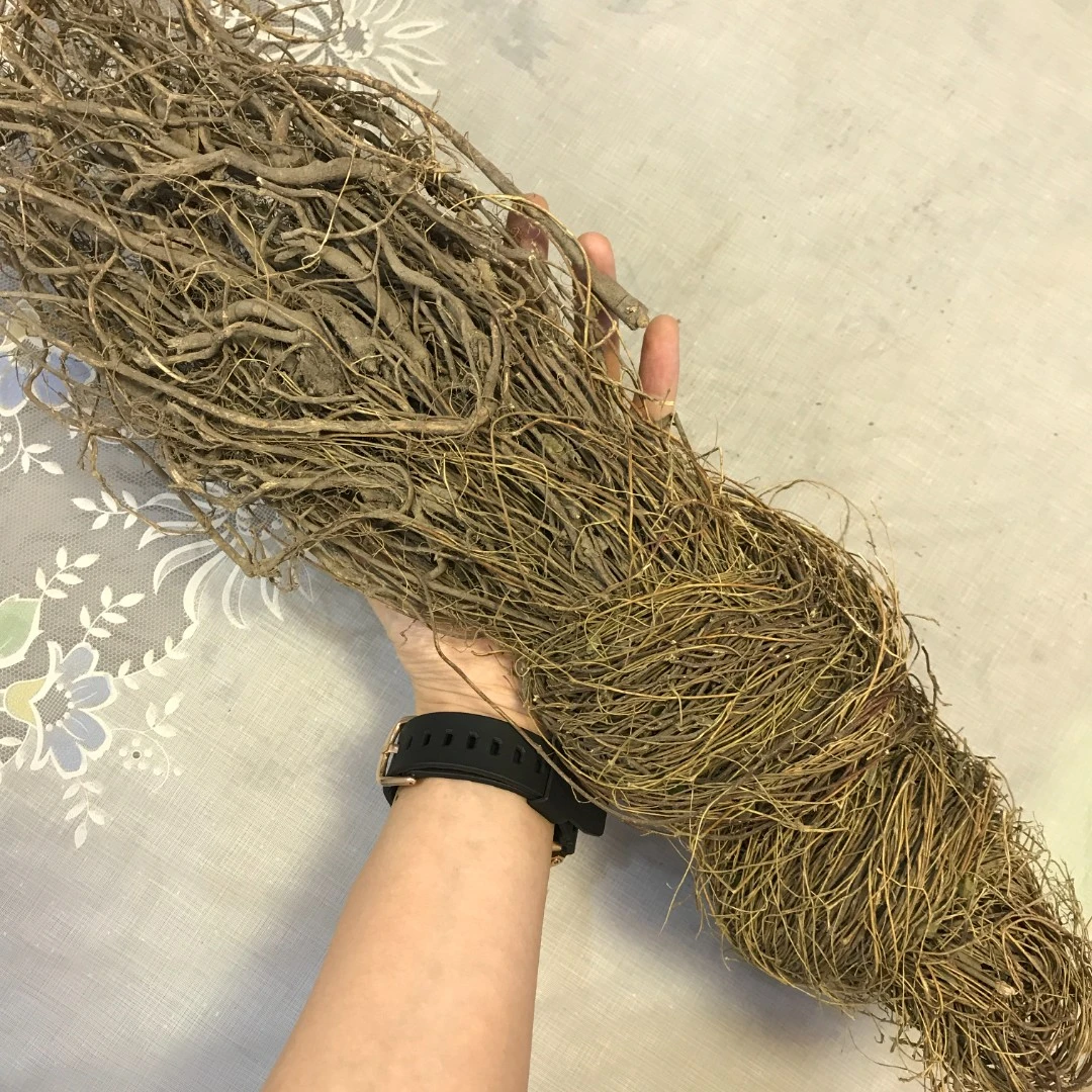精选 靓野.广东汤料 鸡骨草 250g/500g