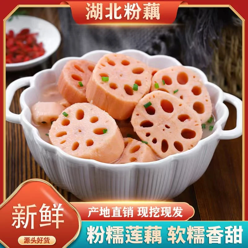 湖北正宗沔城莲藕粉藕洪湖煲汤食用桂花糯米藕红莲藕现挖现发带泥