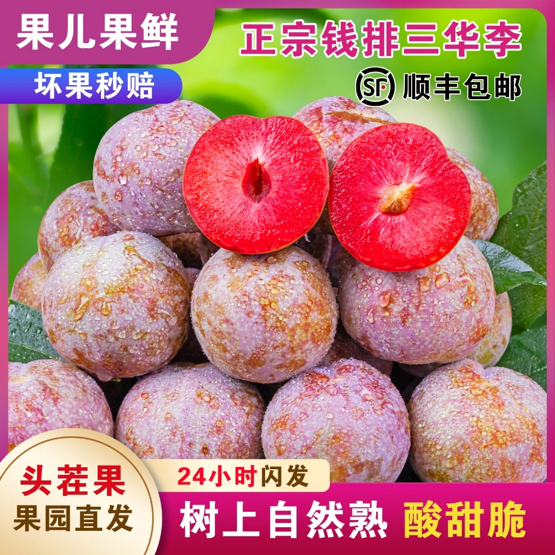 现货正宗信宜钱排三华李银妃红心李大果酸甜孕妇新鲜水果顺丰包邮