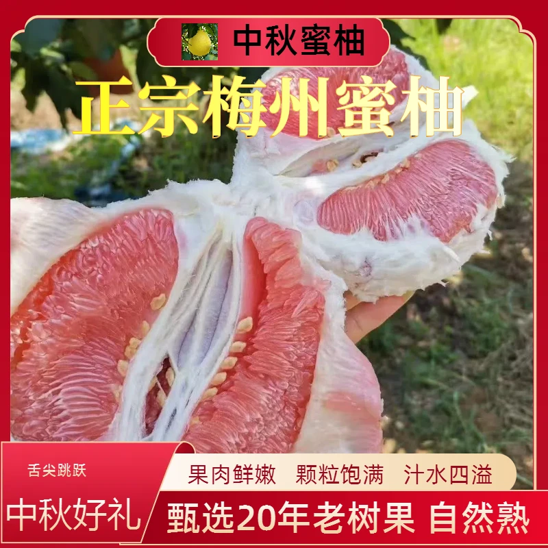 【买30斤送10斤】梅州蜜柚三红柚老树多汁送礼红肉柚特产现摘中秋