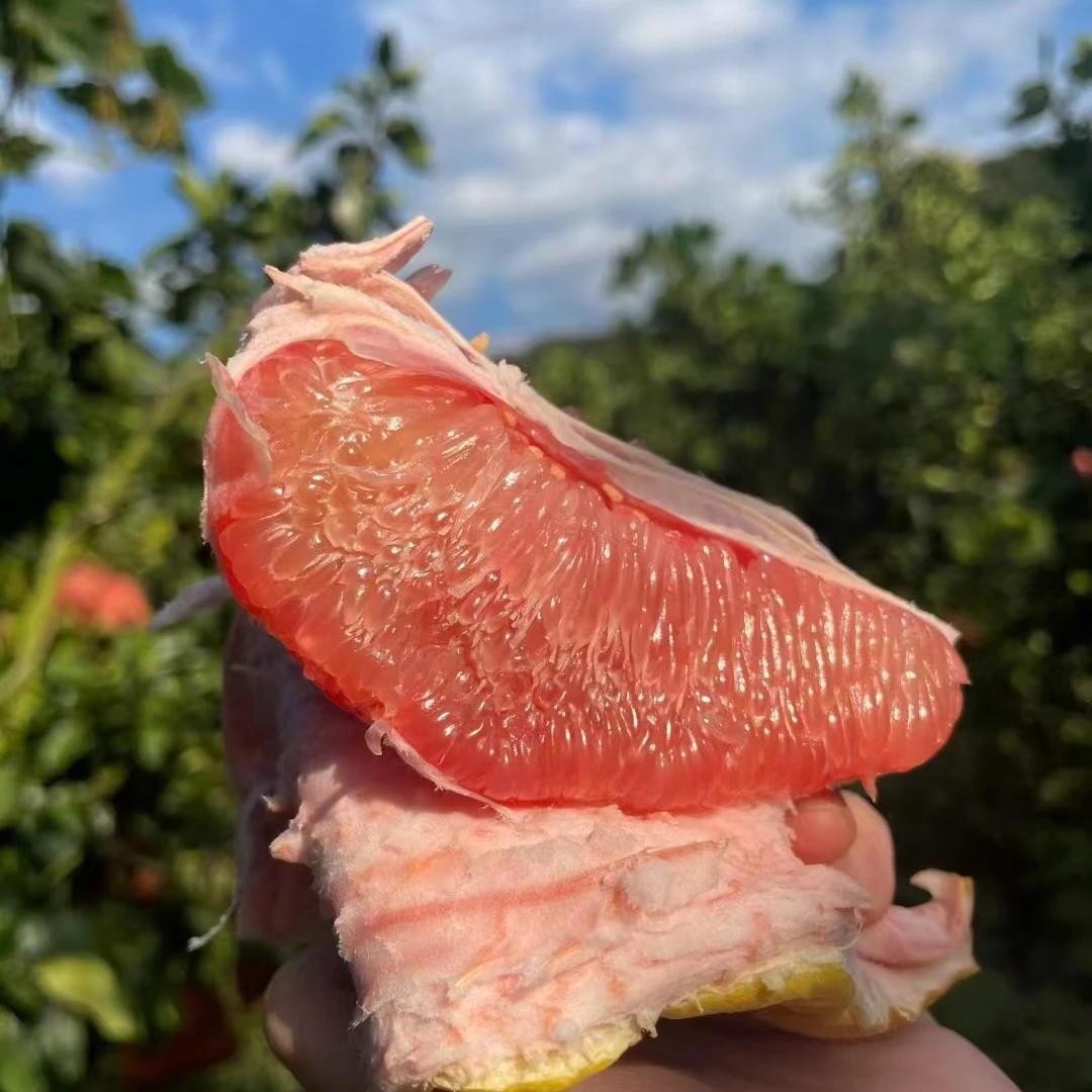 【闪送到家】江西琯溪红柚 4.99元1斤 水分多 酸度低  味道好