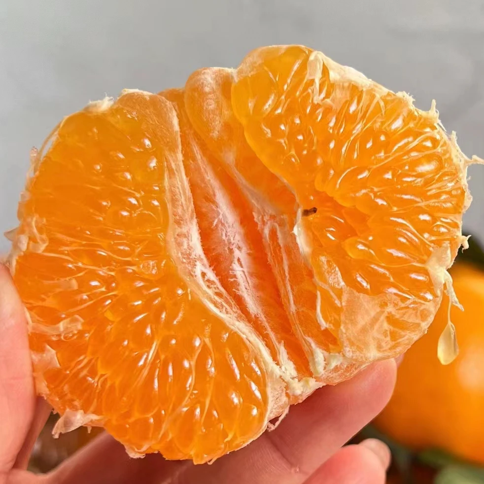 【一小时闪送到家】春见耙耙柑 水果中的鱼子酱 8.9元1斤 甘甜多汁 柑橘风味好