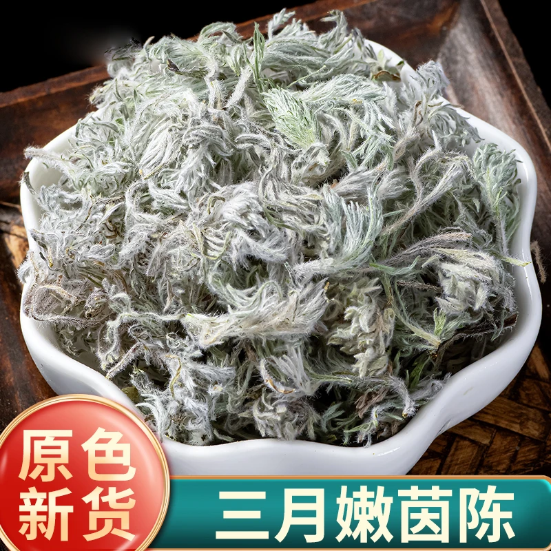 陕西棉茵陈三月野生新鲜白蒿干茵陈蒿茶带根棉因陈棉菌陈蒿西洋参