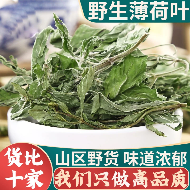 广西整支薄荷叶广藿香薄荷梗野生正品干货霍香泡水西洋参薄荷叶