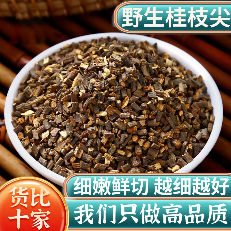 野生广西桂枝尖新货细桂枝桂枝尖嫩条泡茶可搭西洋参泡水无硫精选