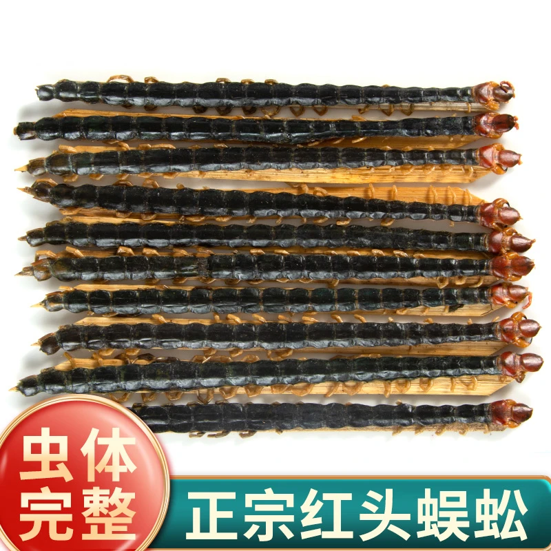 蜈蚣精选蜈蚣干红头蜈公大条千足蜈蚣皮磨粉全蝎水蛭西洋参泡水茶