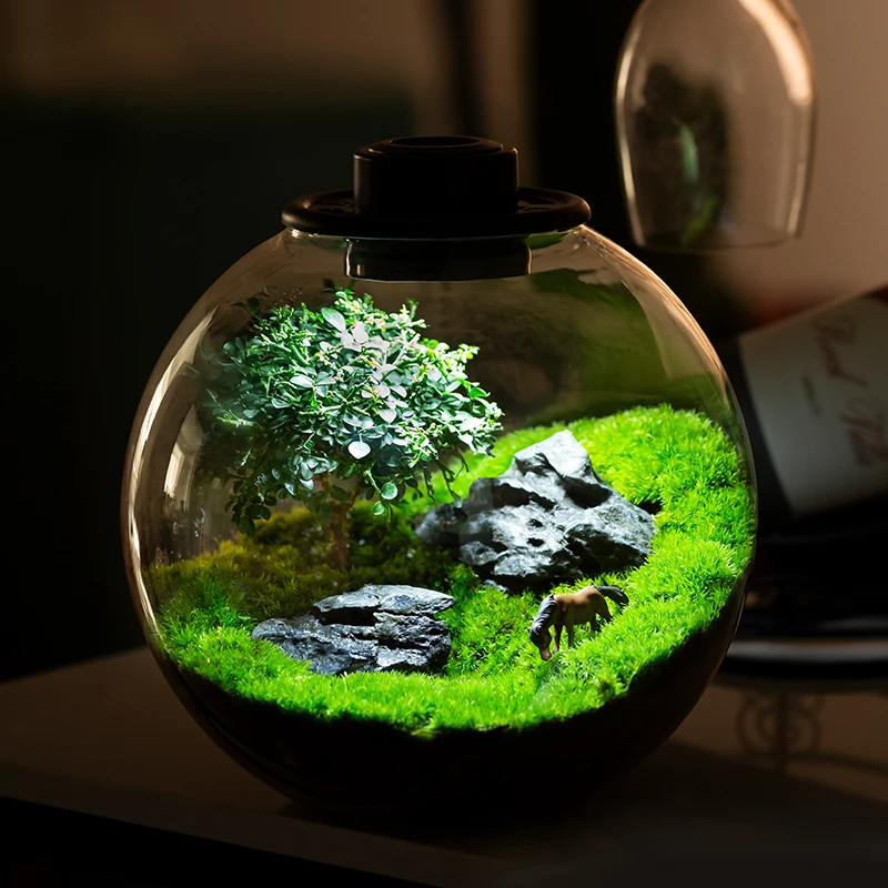 青苔上品【太空舱】智能微景观自动定时懒人生态景观办公室绿植摆件