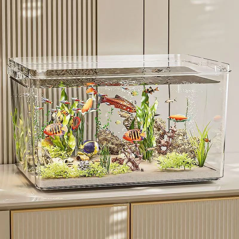 鱼缸生态箱高清高透PET金鱼缸饲养水族乌龟金鱼生态造景收纳箱子