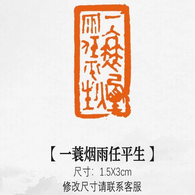 【一蓑烟雨任平生】引首章成品书法黄铜闲章写意书画印章篆刻藏书