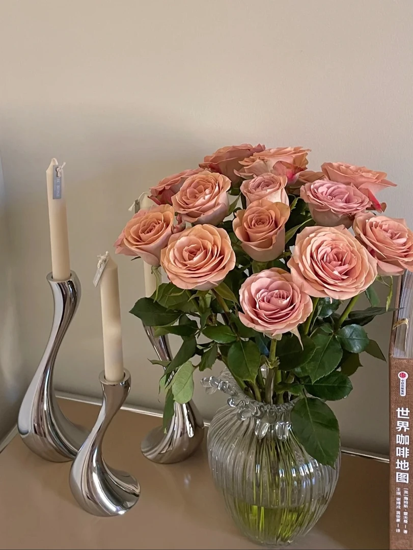 【卡布奇诺】复古色玫瑰花期超长 速抢 直播间专属优惠 花期超长