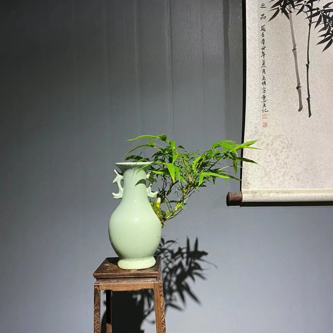 阿牛手艺老桩花瓶佛肚竹盆景