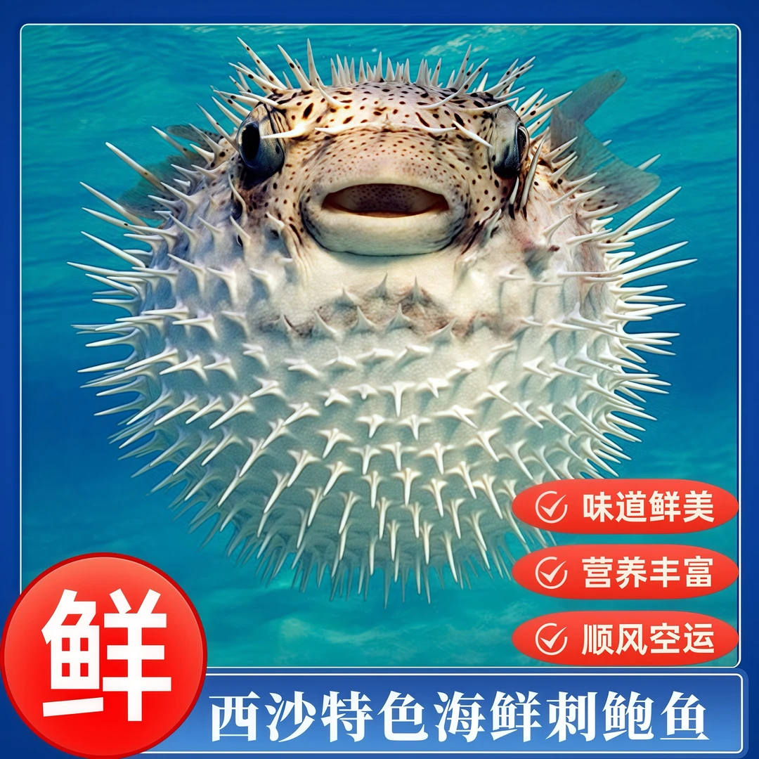 【刺鲍鱼/刺龟鱼】海南深海鲜 鲜活去刺顺丰包邮 刺鲀鱼滋补美味
